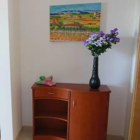Primavera B3